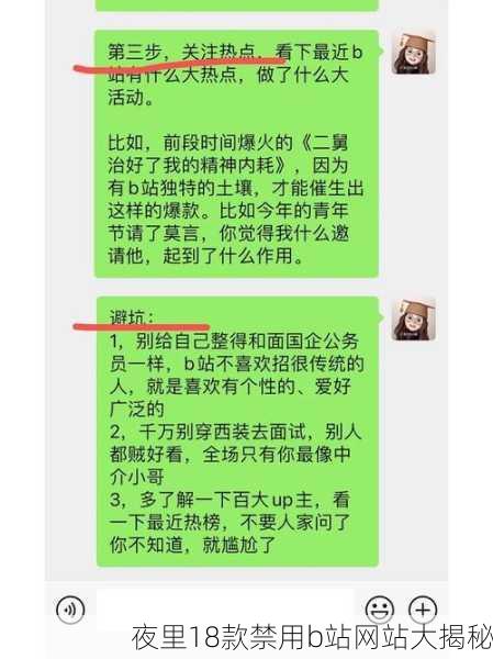 夜里18款禁用b站网站大揭秘