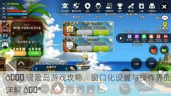 🚀 冒险岛游戏攻略，窗口化设置与操作界面详解 🎮