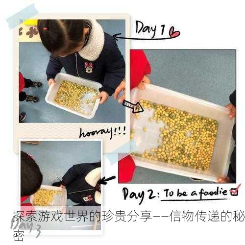 探索游戏世界的珍贵分享——信物传递的秘密