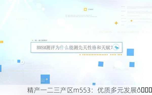精产一二三产区m553：优质多元发展🌟