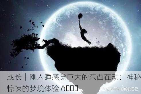 成长｜刚入睡感觉巨大的东西在动：神秘惊悚的梦境体验 🌌