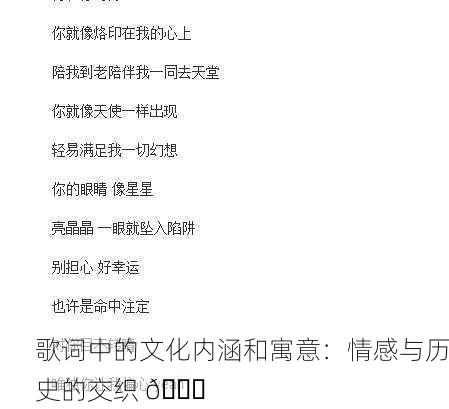 歌词中的文化内涵和寓意：情感与历史的交织 🌟
