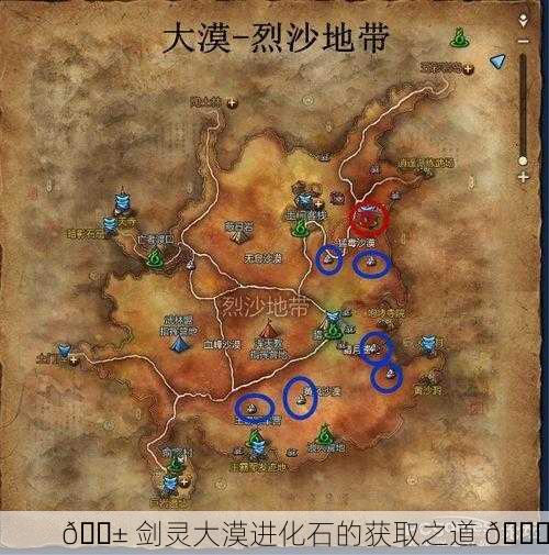 🌱 剑灵大漠进化石的获取之道 💎