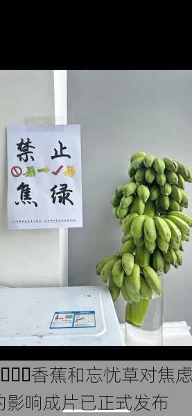 🍌香蕉和忘忧草对焦虑的影响成片已正式发布