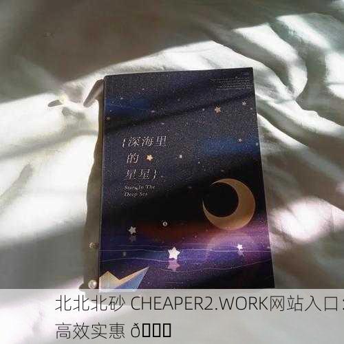 北北北砂 CHEAPER2.WORK网站入口：高效实惠 🌟