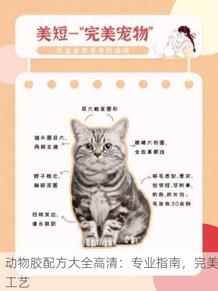动物胶配方大全高清：专业指南，完美工艺