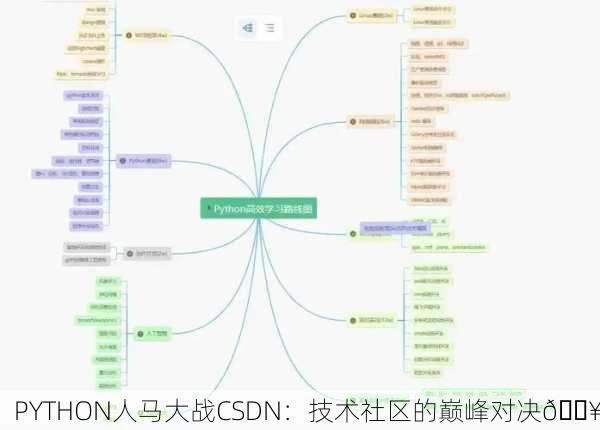 PYTHON人马大战CSDN：技术社区的巅峰对决🔥