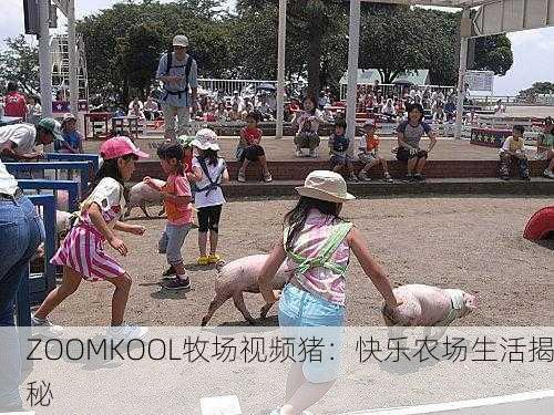 ZOOMKOOL牧场视频猪：快乐农场生活揭秘