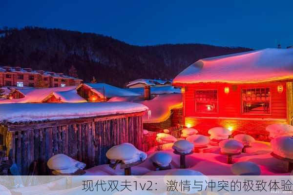 现代双夫1v2：激情与冲突的极致体验