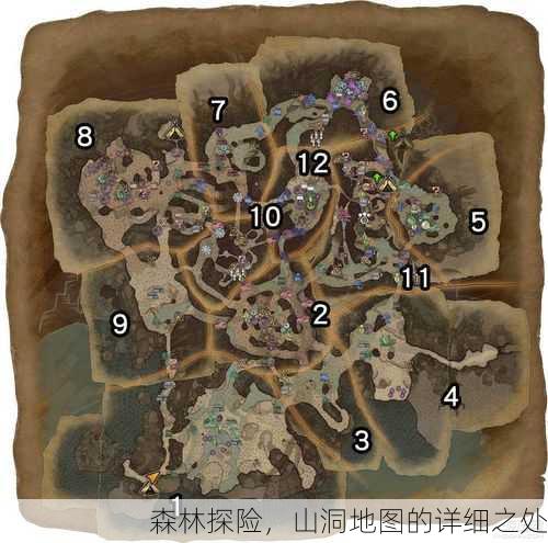 森林探险，山洞地图的详细之处
