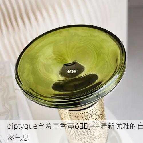 diptyque含羞草香薰🌸——清新优雅的自然气息
