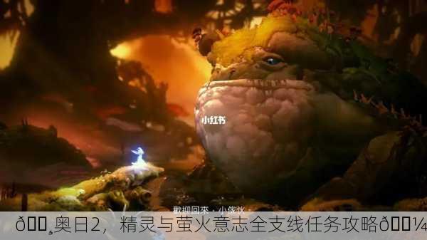 🌸奥日2，精灵与萤火意志全支线任务攻略🌼