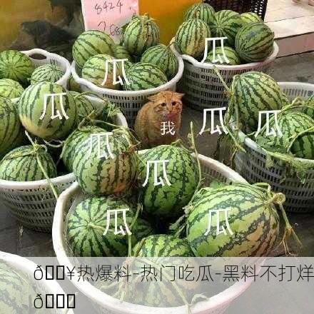 🔥热爆料-热门吃瓜-黑料不打烊👀