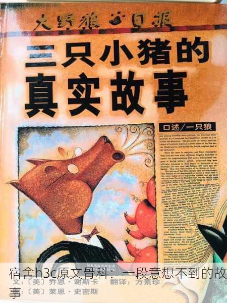 宿舍h3c原文骨科：一段意想不到的故事