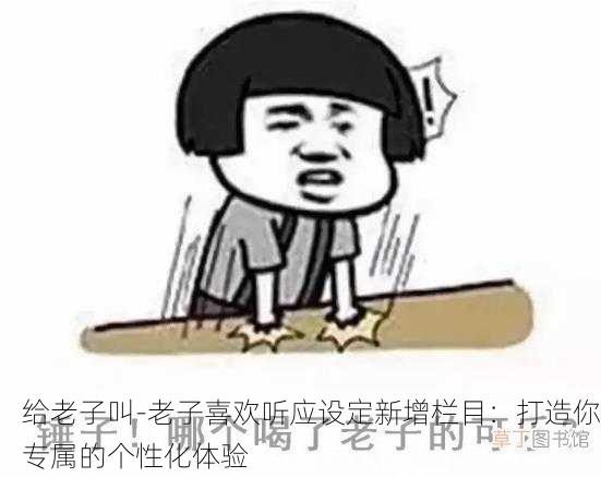 给老子叫-老子喜欢听应设定新增栏目：打造你专属的个性化体验