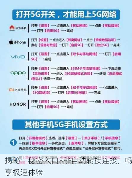 揭秘：秘密入口3秒自动转接连接，畅享极速体验