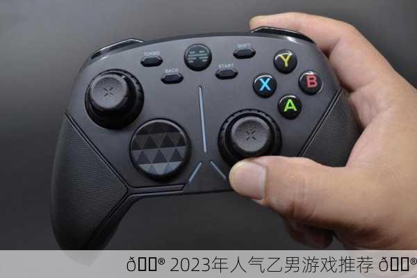 🎮 2023年人气乙男游戏推荐 🎮