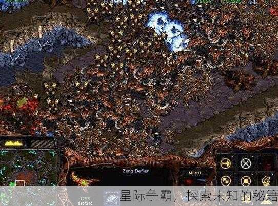 星际争霸，探索未知的秘籍