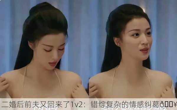 二婚后前夫又回来了1v2：错综复杂的情感纠葛🔥