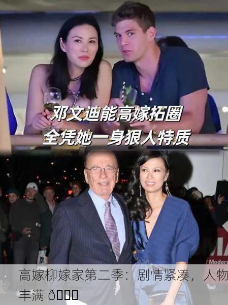高嫁柳嫁家第二季：剧情紧凑，人物丰满 🌟