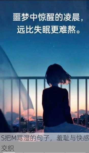 S把M骂湿的句子，羞耻与快感交织