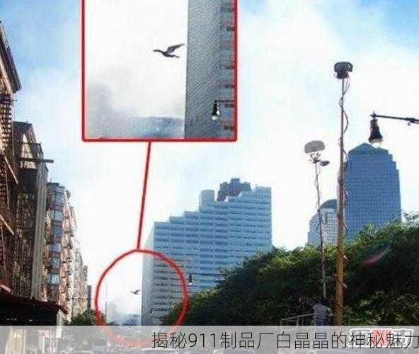 揭秘911制品厂白晶晶的神秘魅力