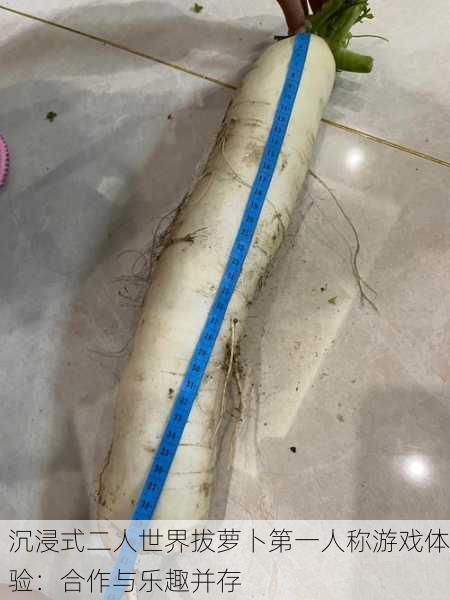 沉浸式二人世界拔萝卜第一人称游戏体验：合作与乐趣并存