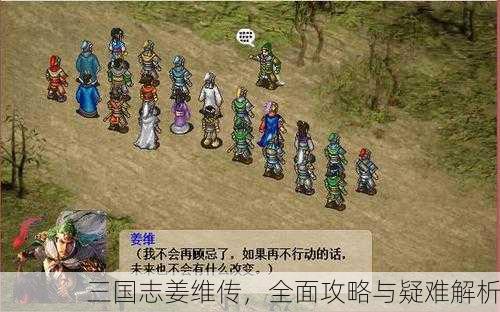 三国志姜维传，全面攻略与疑难解析