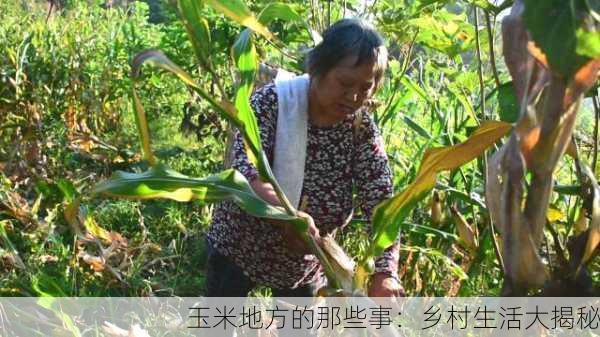 玉米地方的那些事：乡村生活大揭秘