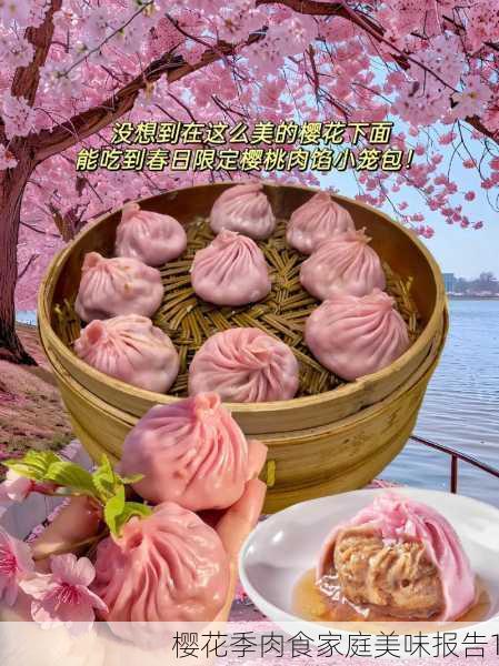 樱花季肉食家庭美味报告1