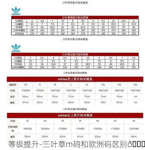 等级提升-三叶草m码和欧洲码区别🔍
