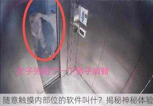 随意触摸内部位的软件叫什？揭秘神秘体验