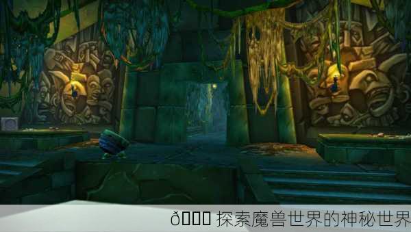 🌏 探索魔兽世界的神秘世界