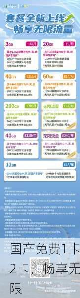 国产免费1卡2卡，畅享无限
