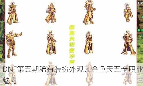 DNF第五期稀有装扮外观，金色天五全职业魅力