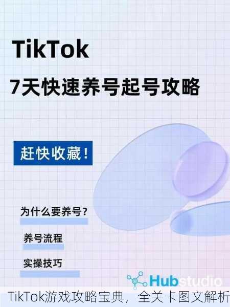 TikTok游戏攻略宝典，全关卡图文解析