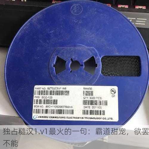 独占糙汉1.v1最火的一句：霸道甜宠，欲罢不能