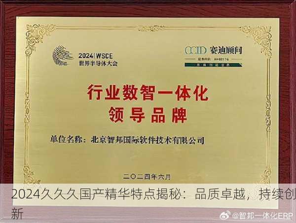 2024久久久国产精华特点揭秘：品质卓越，持续创新