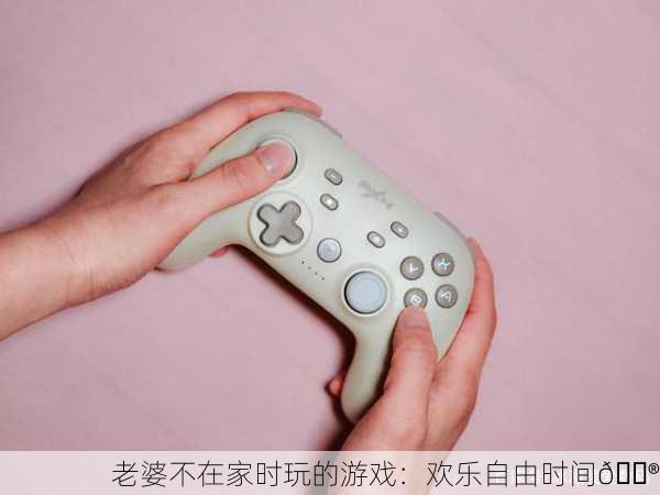 老婆不在家时玩的游戏：欢乐自由时间🎮