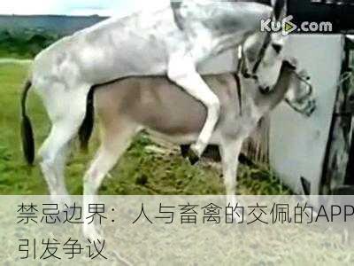 禁忌边界：人与畜禽的交佩的APP引发争议