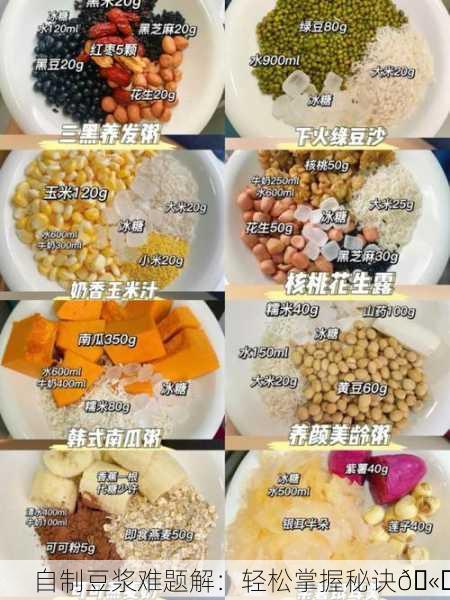 自制豆浆难题解：轻松掌握秘诀🫘