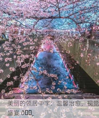 美丽的领居中字：温馨治愈，视觉盛宴 🌸