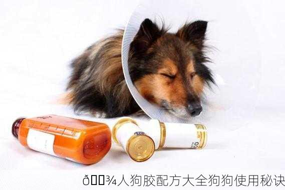 🐾人狗胶配方大全狗狗使用秘诀