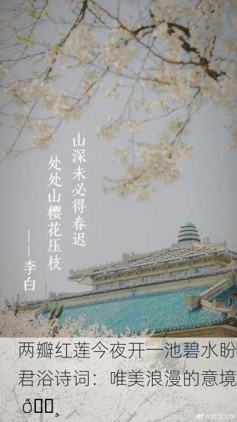 两瓣红莲今夜开一池碧水盼君浴诗词：唯美浪漫的意境 🌸