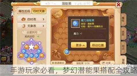 手游玩家必看，梦幻潜能果搭配全攻略