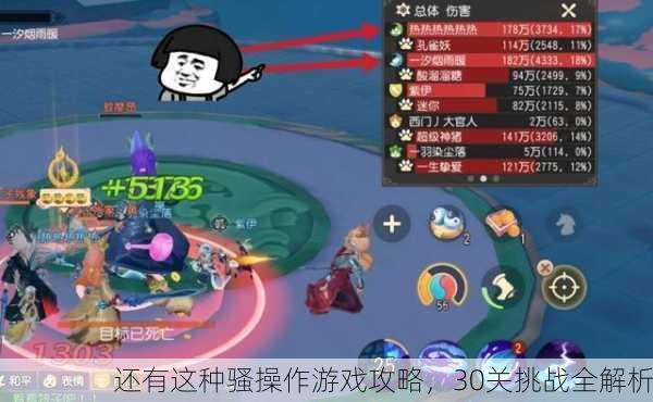 还有这种骚操作游戏攻略，30关挑战全解析