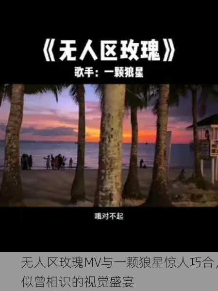 无人区玫瑰MV与一颗狼星惊人巧合，似曾相识的视觉盛宴