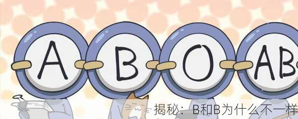揭秘：B和B为什么不一样