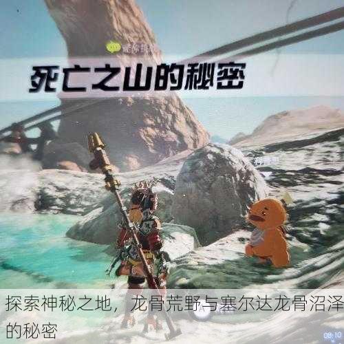 探索神秘之地，龙骨荒野与塞尔达龙骨沼泽的秘密