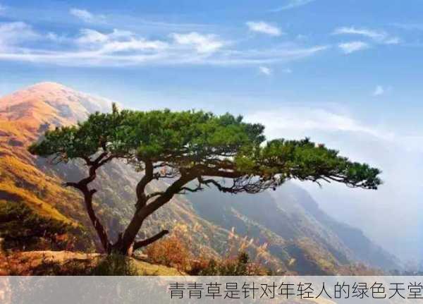 青青草是针对年轻人的绿色天堂